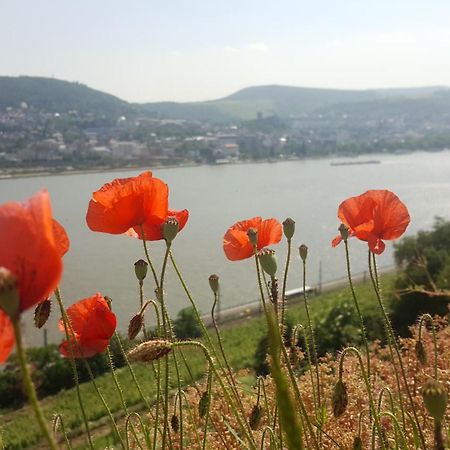 Ruthmann-Rheinblick Garni Hotell Oestrich-Winkel Exteriör bild