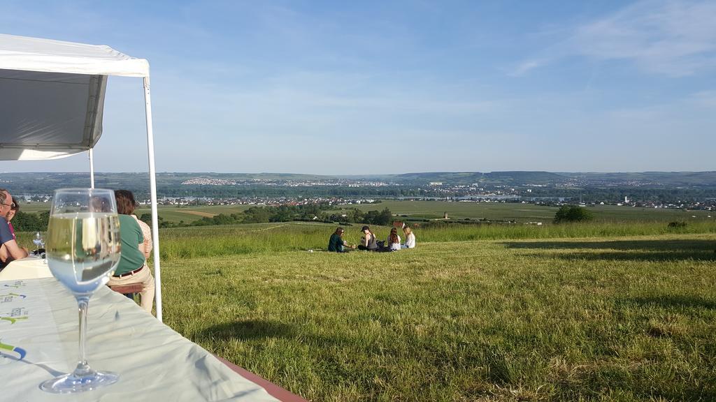 Ruthmann-Rheinblick Garni Hotell Oestrich-Winkel Exteriör bild