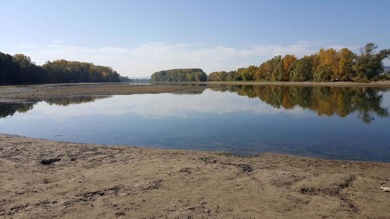 Ruthmann-Rheinblick Garni Hotell Oestrich-Winkel Exteriör bild